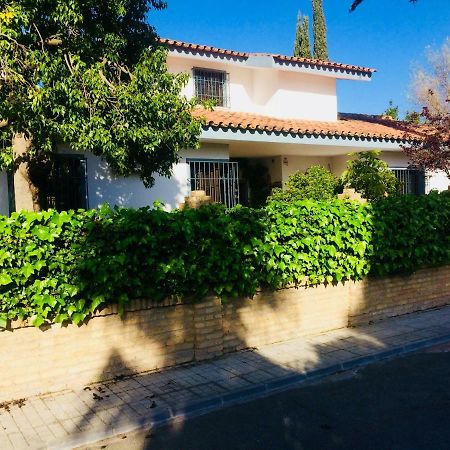 Villa Ferrer Sevilla Ginés Eksteriør bilde