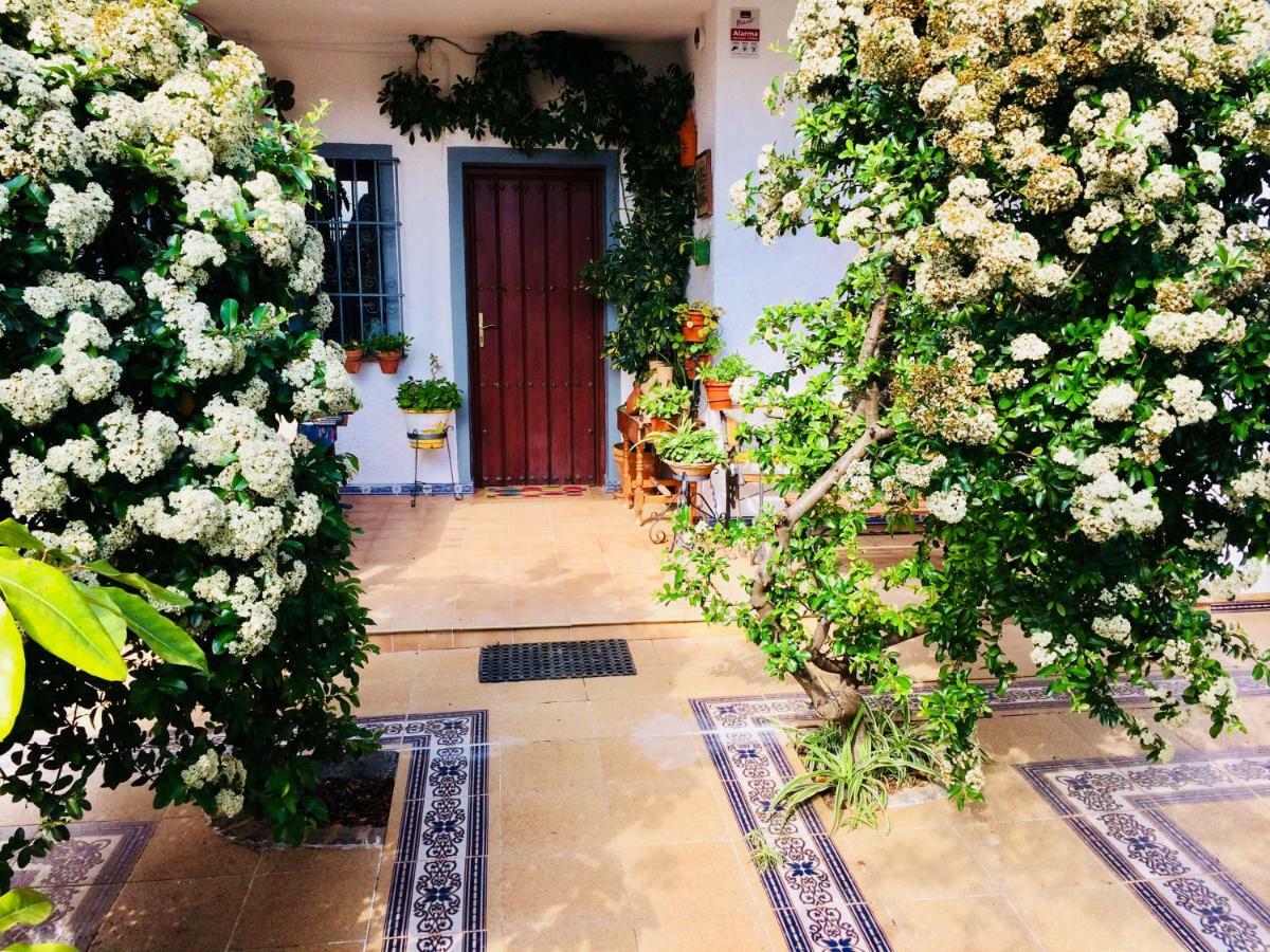 Villa Ferrer Sevilla Ginés Eksteriør bilde