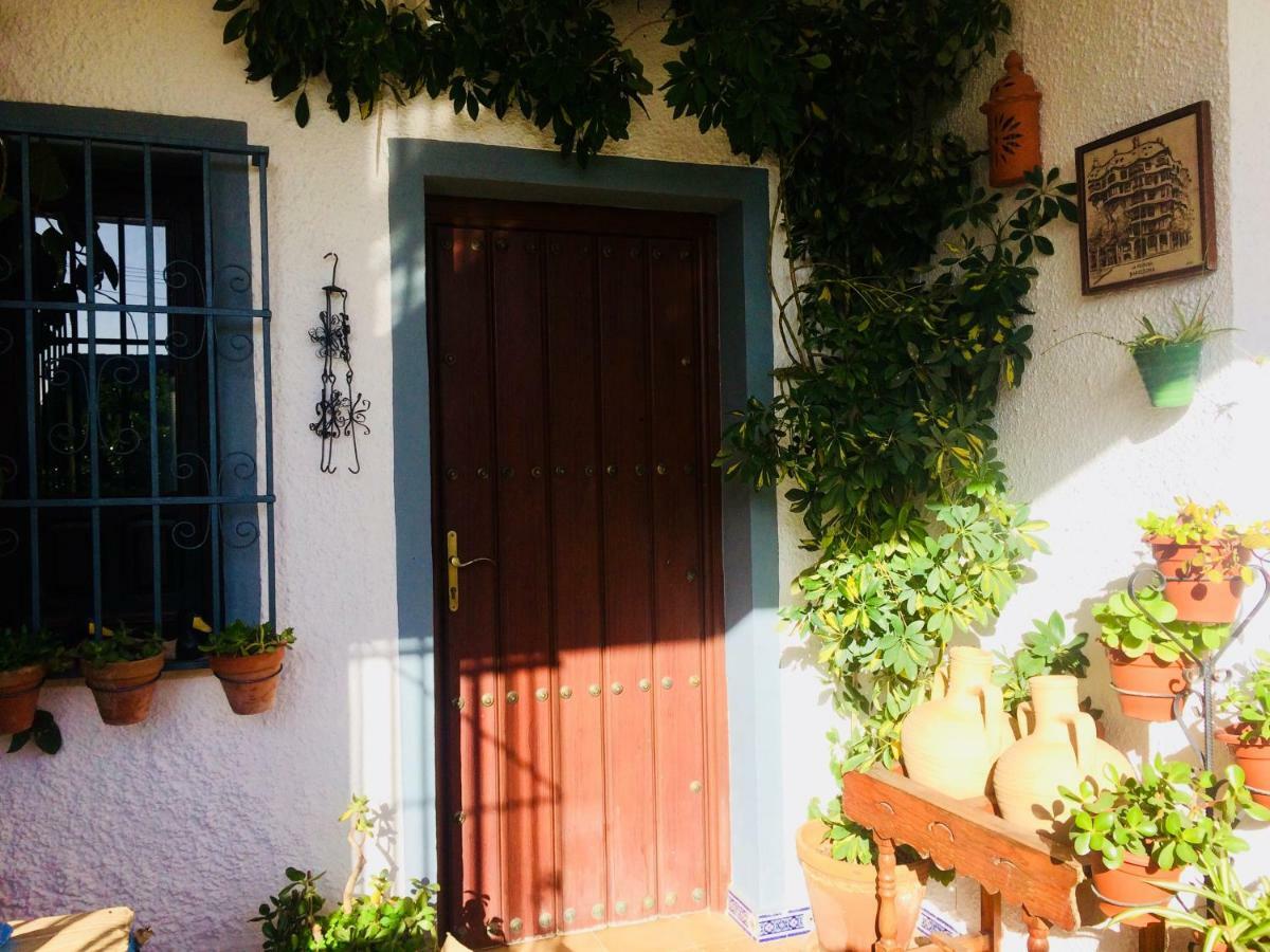 Villa Ferrer Sevilla Ginés Eksteriør bilde